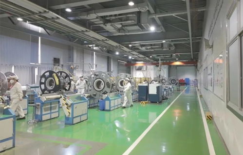 以教育之强谱写高质量发展新篇 浙江大学勇担使命，引领软件研发与销售创新实践